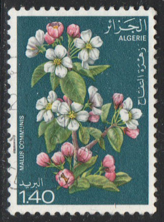 Algeria Scott 610 Used
